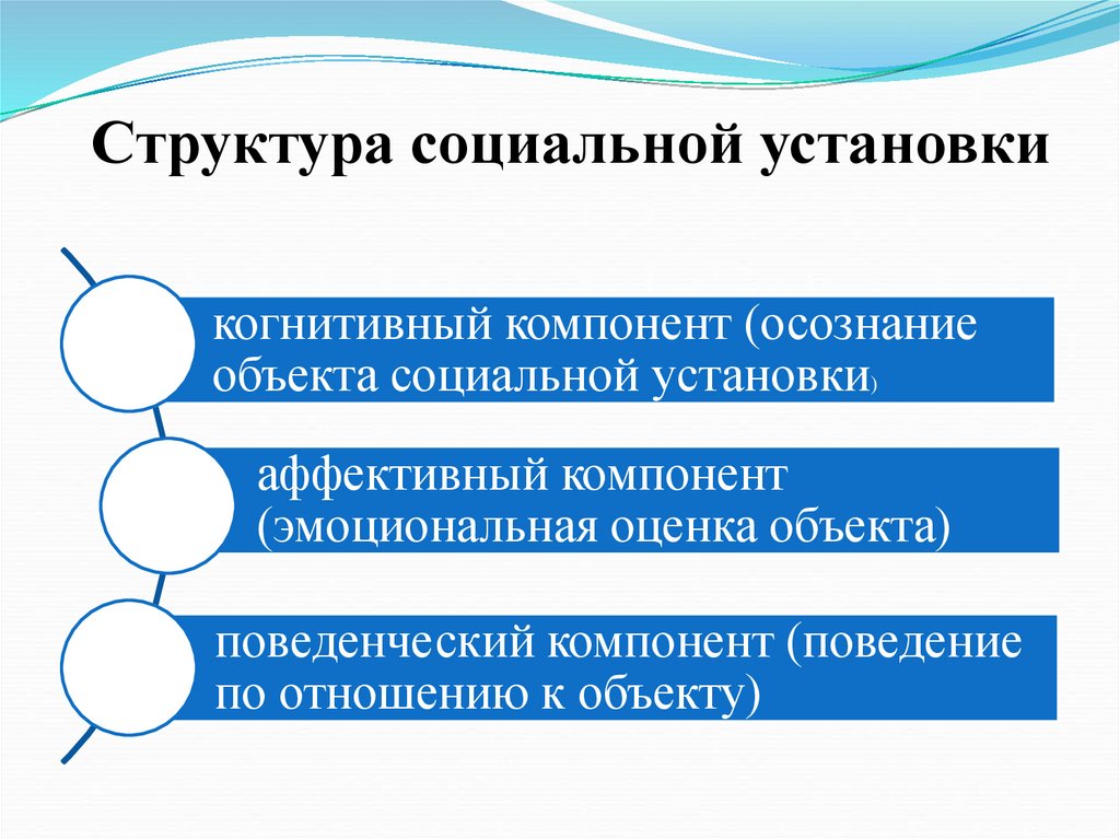 Схема анализа структуры социальной установки по м смиту