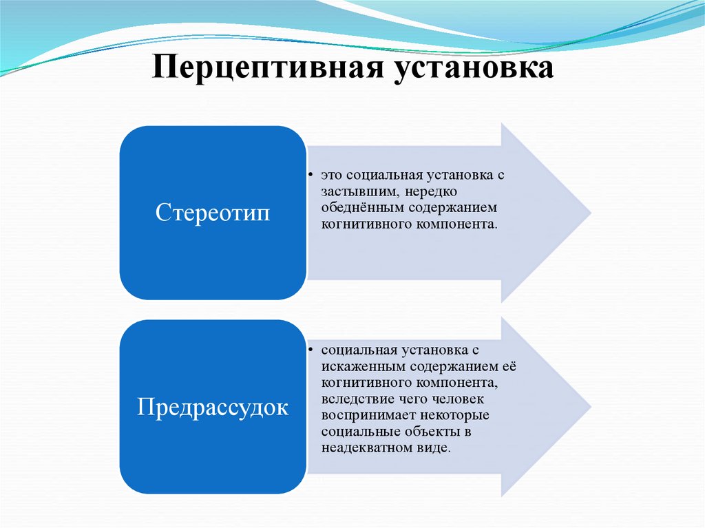 Перцептивная схема и перцептивный цикл