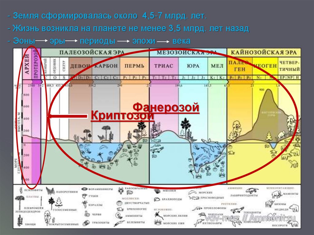 Геологическая история земли