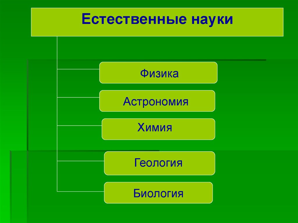 Физика и биология презентация