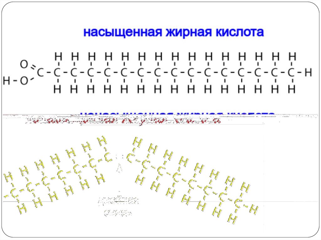 Липиды. Сложные липиды - online presentation