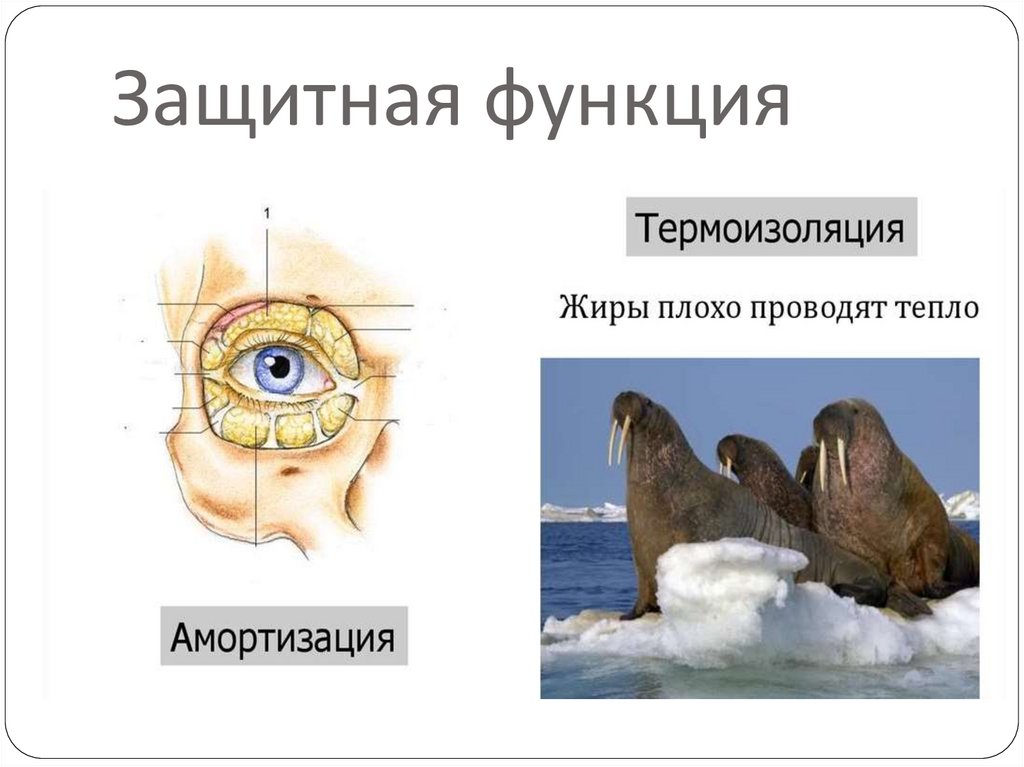 Защитная функция