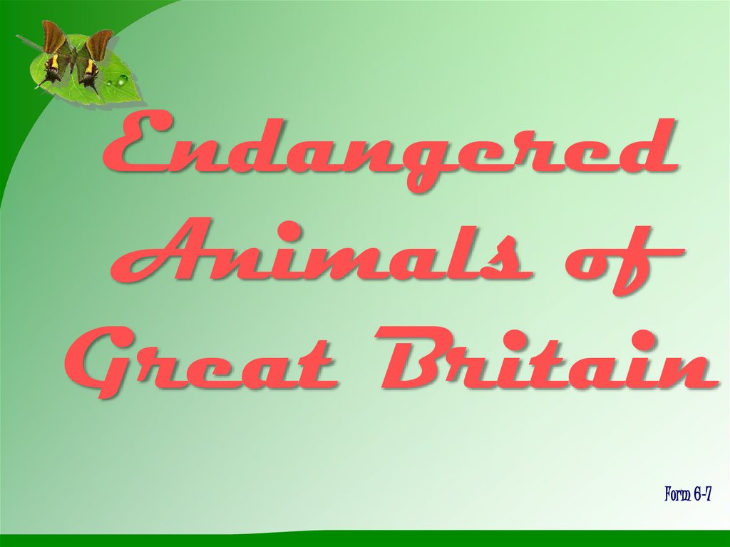Endangered Animals of Great Britain