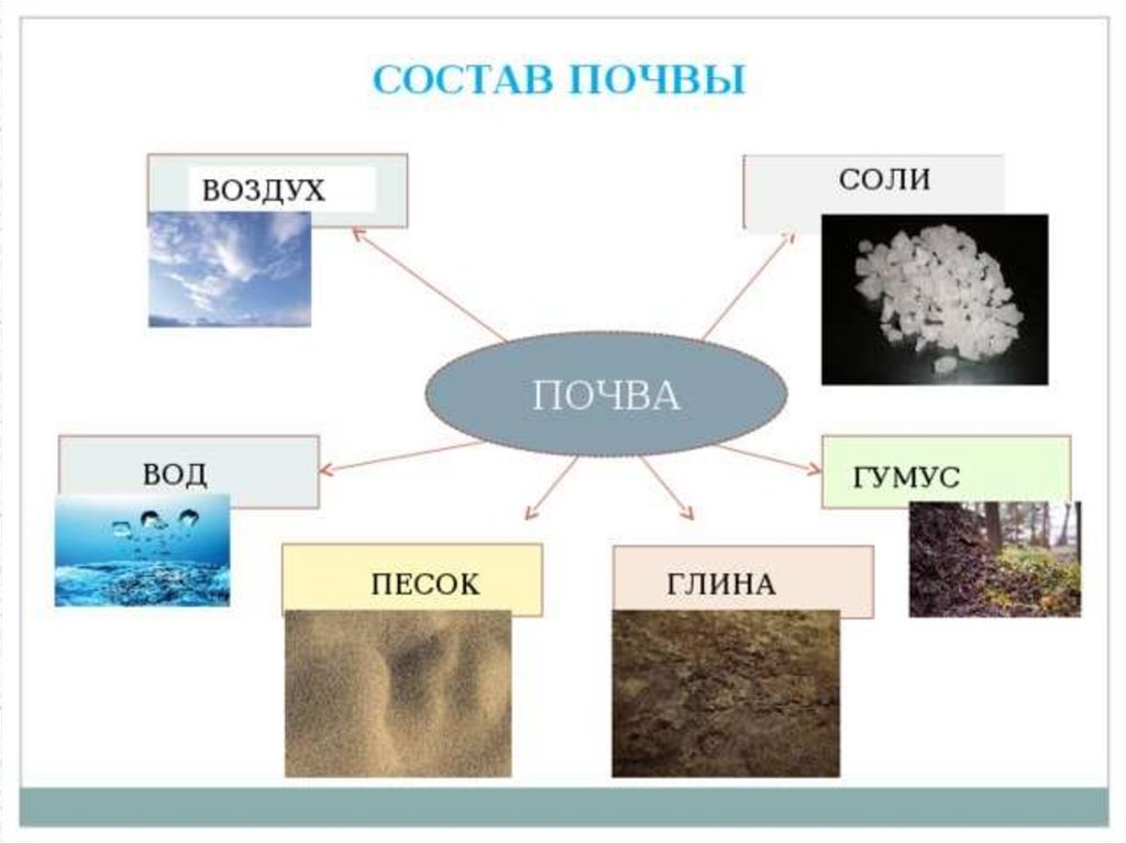 Назовите состав почвы. Состав почвы. Состав почвы схема. Почва состав почвы. Состав почвы для дошкольников.