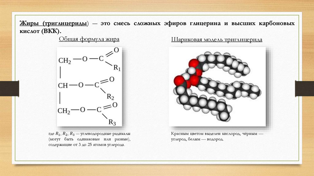 Общая формула жиров в химии