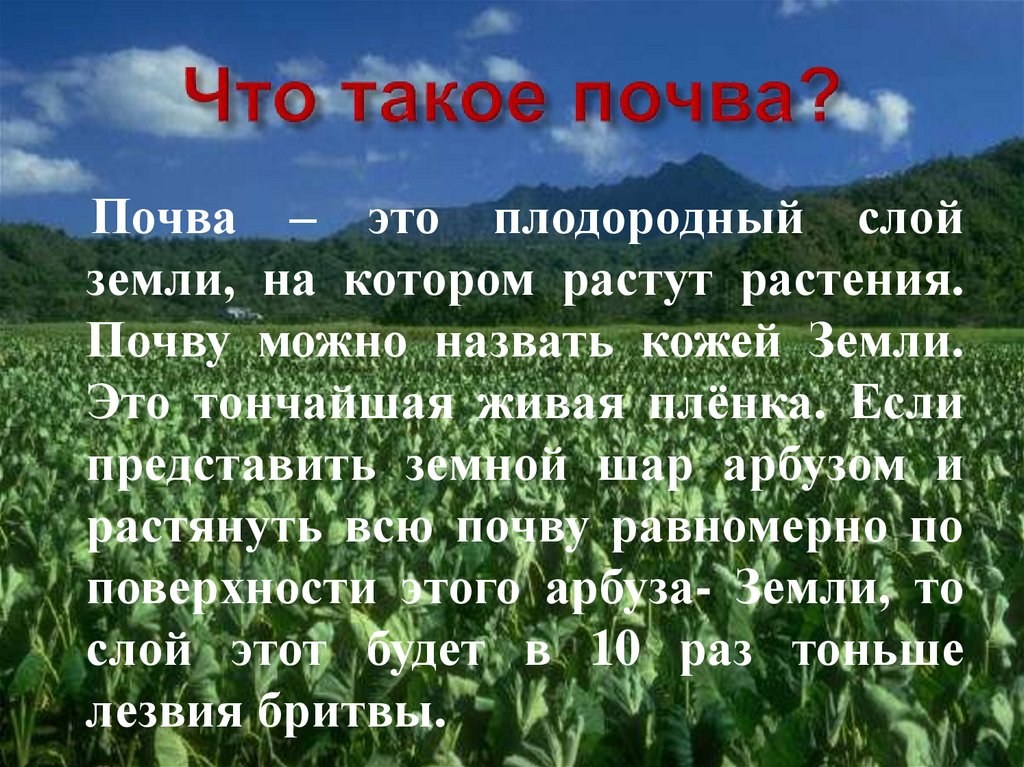 Почвах вашего края. Проект земля кормилица. Земля кормилица презентация. Доклад на тему земля кормилица. Доклад по окружающему миру 4 класс.