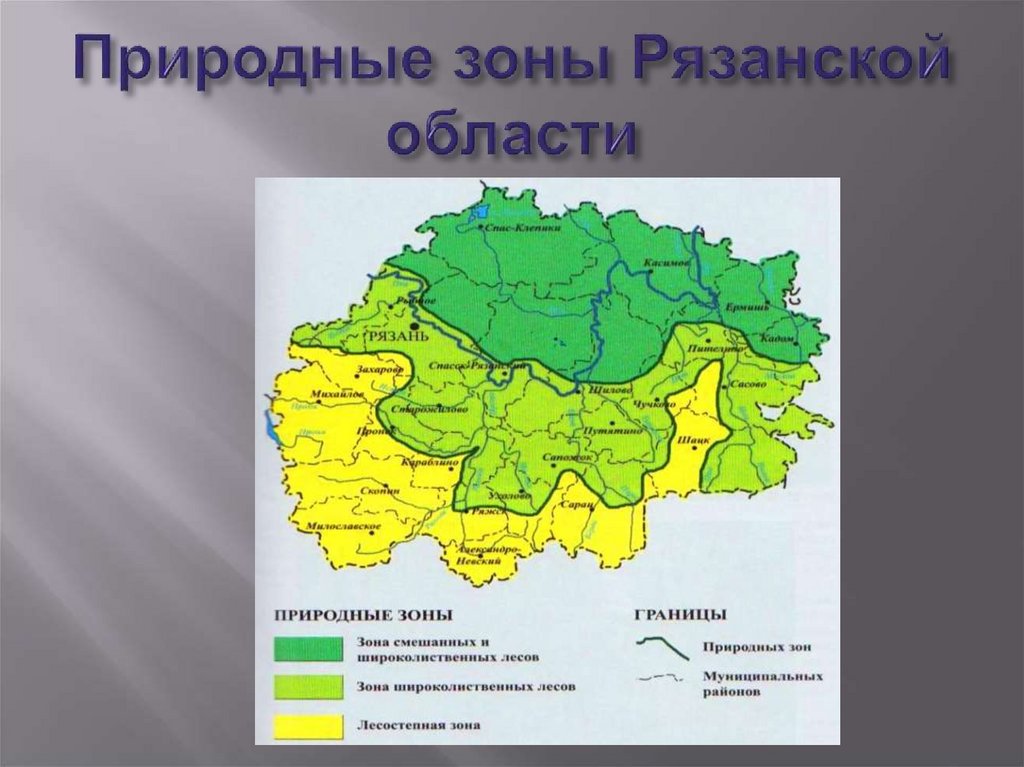 Область расположена в основном в пределах. Природные зоны Рязанской области карта. Природные зоны центральной России на карте. Карта растительности Рязанской области. Природная карта Рязанской области.