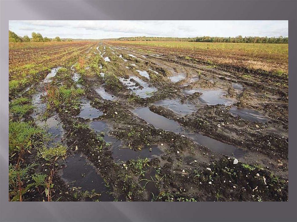 Почвы малоплодородны и сильно заболочены короткие. Загрязненные поля Ростовской области. Загрязнение почвы. Что загрязняет почву. Загрязненные почвы.
