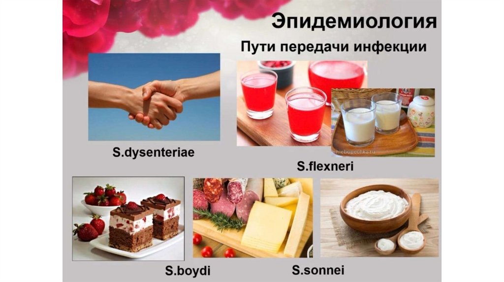 Дизентерия - презентация онлайн