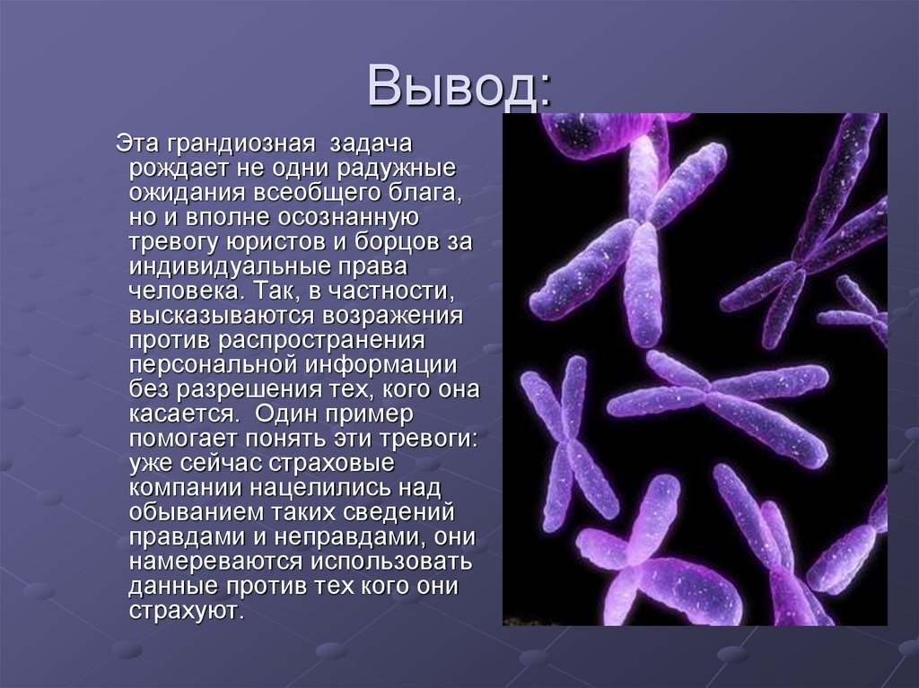 Геном человека (история открытия) - презентация онлайн