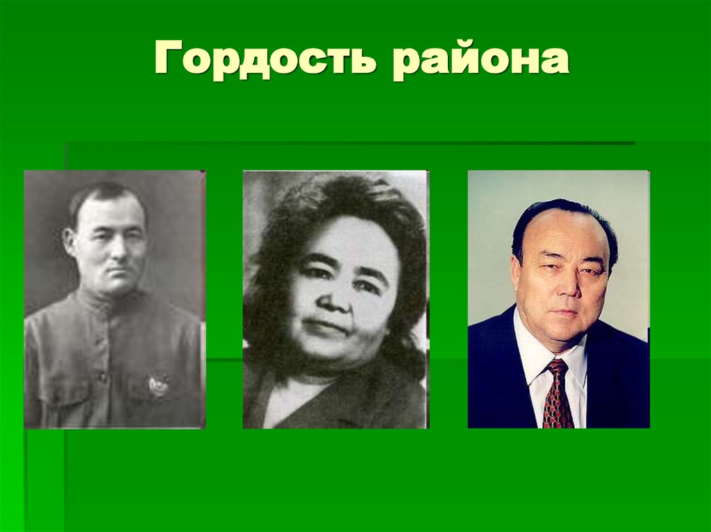 Гордость района