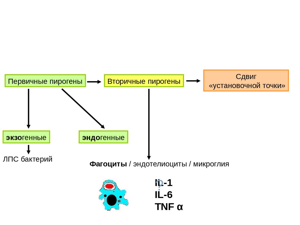 Лихорадка - online presentation