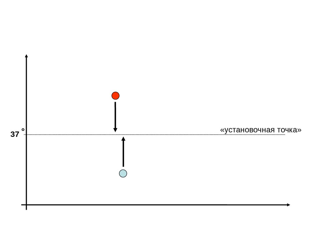 Лихорадка - online presentation