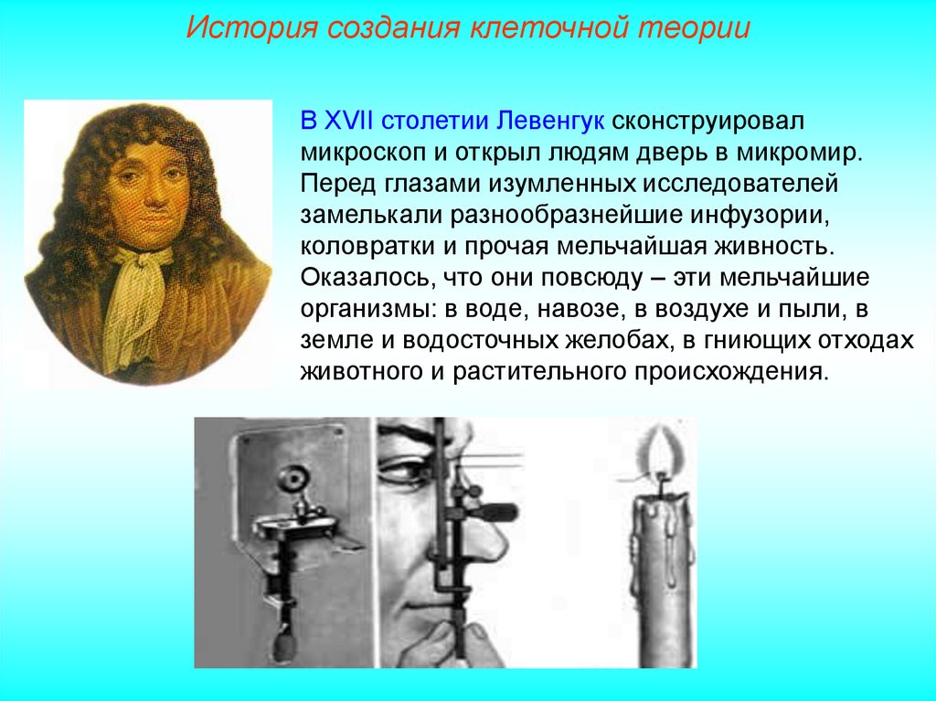 1 простейшие были открыты. Первый микроскоп Антони Ван Левенгука. Антони Ван Левенгук микроскоп открытия. Антони Ван Левенгук изобретение микроскопа. Антони Ван Левенгук его микроскоп и бактерии.