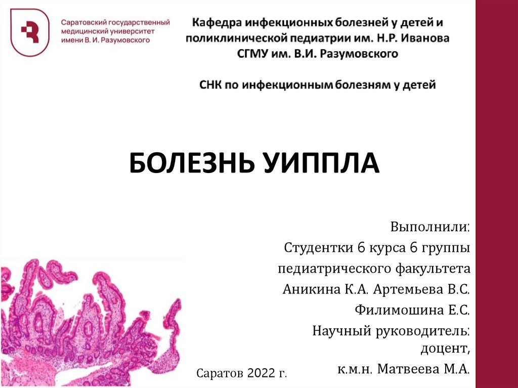Болезнь Уиппла - презентация онлайн