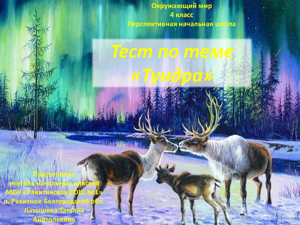 Тундра тест 4