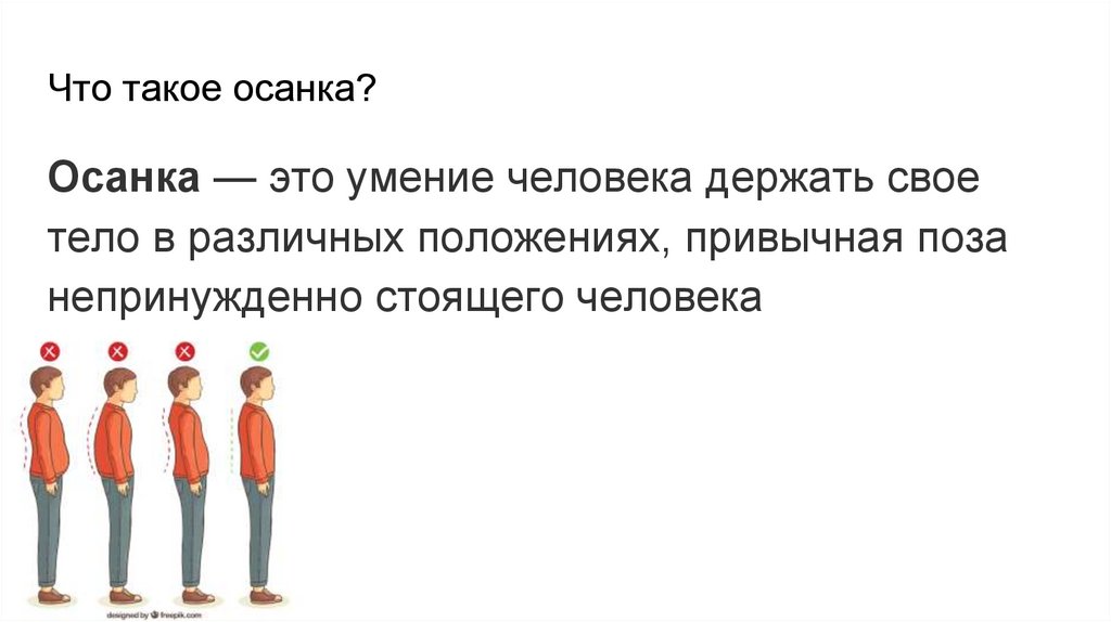 Осанка - презентация онлайн
