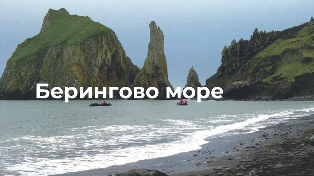 Берингово море презентация