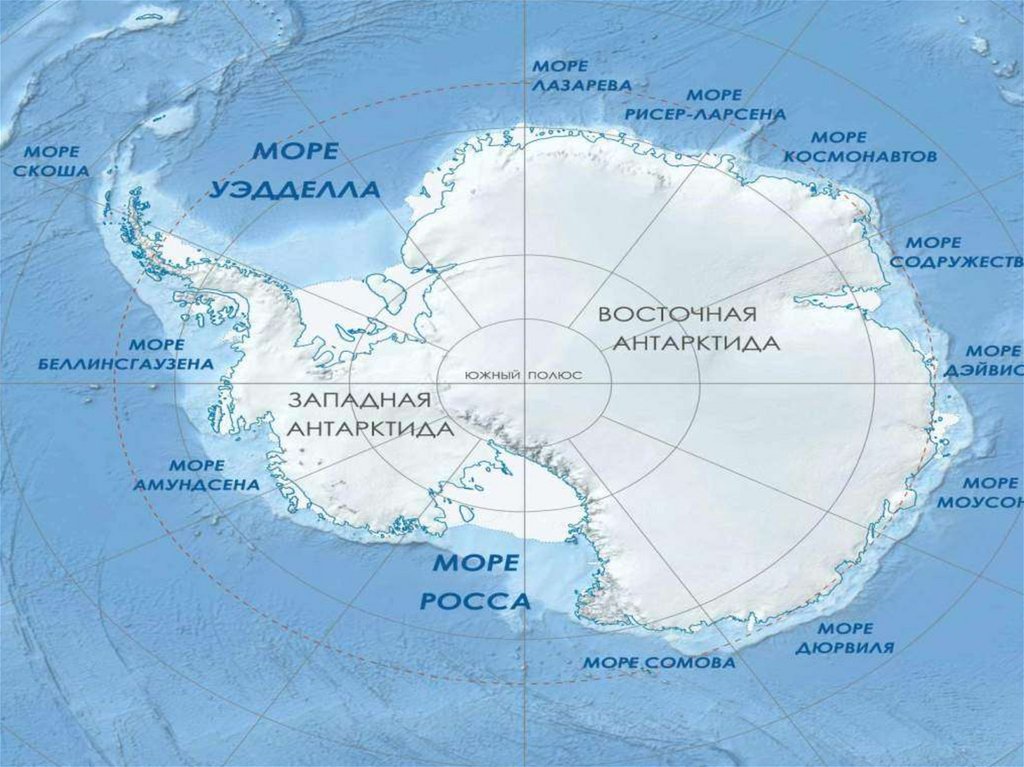Местоположение антарктиды. Моря: Амундсена, Беллинсгаузена, Росса, Уэдделла.. Остров Петра 1 на карте Антарктиды. Антарктида моря Росса Уэдделла Беллинсгаузена Амундсена. Море Лазарева на карте Антарктиды.