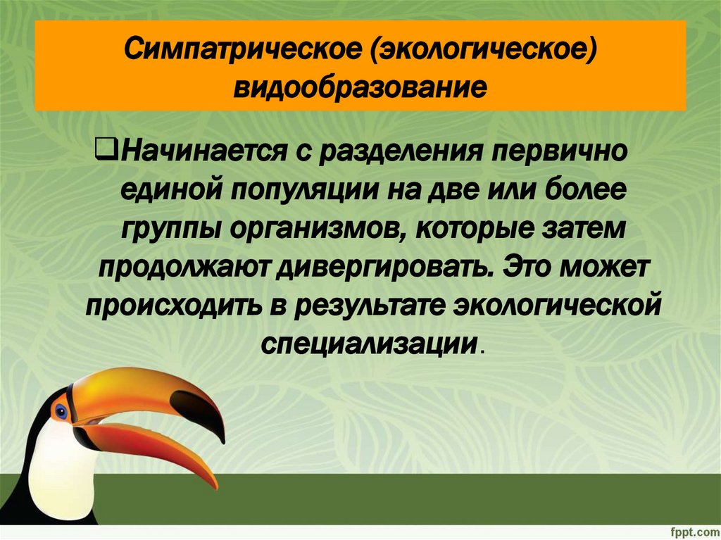 Видообразование биология 11 класс презентация