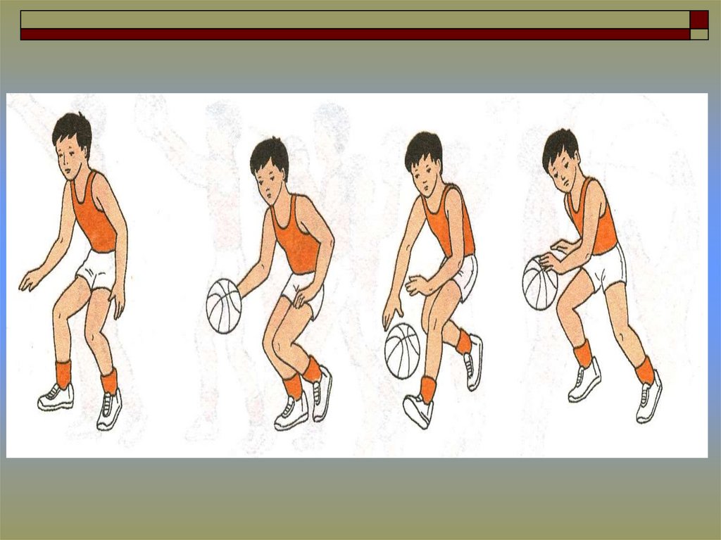 Ведение двумя в баскетболе. Техника ведения мяча двумя руками в баскетболе. Техника ведения мяча одной рукой в баскетболе. Ведение мяча попеременно правой и левой рукой. Введение мяча в баскетболе.