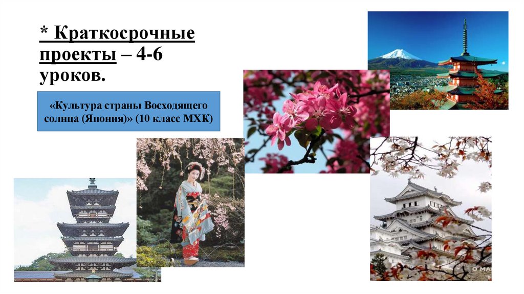 * Краткосрочные проекты – 4-6 уроков.