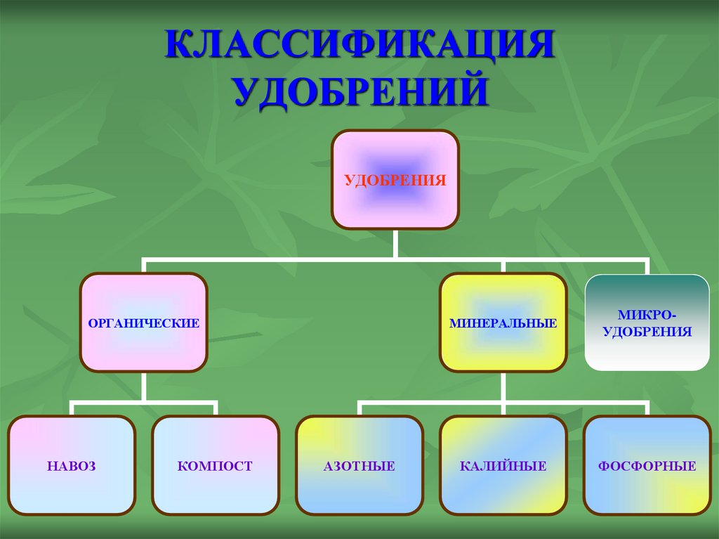 Минеральное питание растений и значение воды презентация 6 класс пономарева