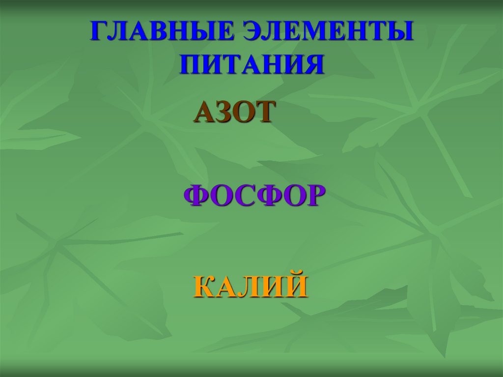 ГЛАВНЫЕ ЭЛЕМЕНТЫ ПИТАНИЯ