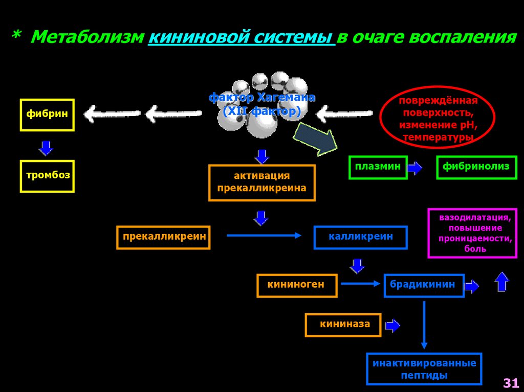 Система воспаления. Калликреин-кининовую систему. Брадикинин-кининовая система. Кинин-калликреиновая система схема. Кинин калликреиновая система биохимия.