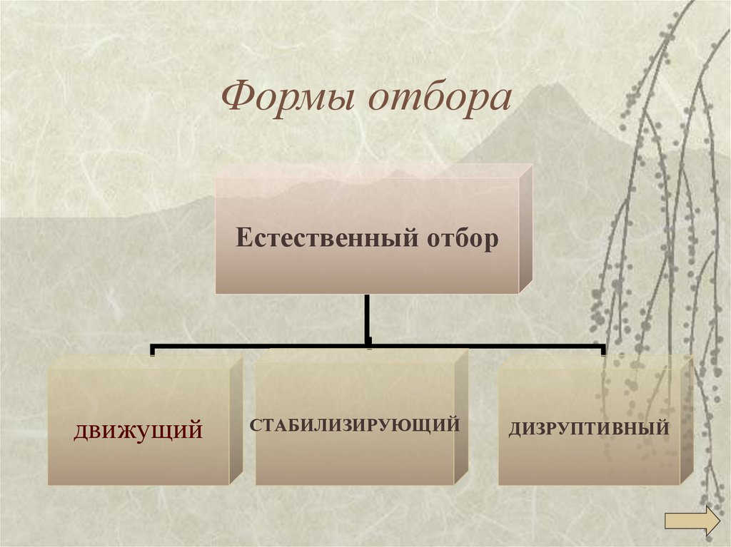 Движущие силы эволюции схема естественный отбор