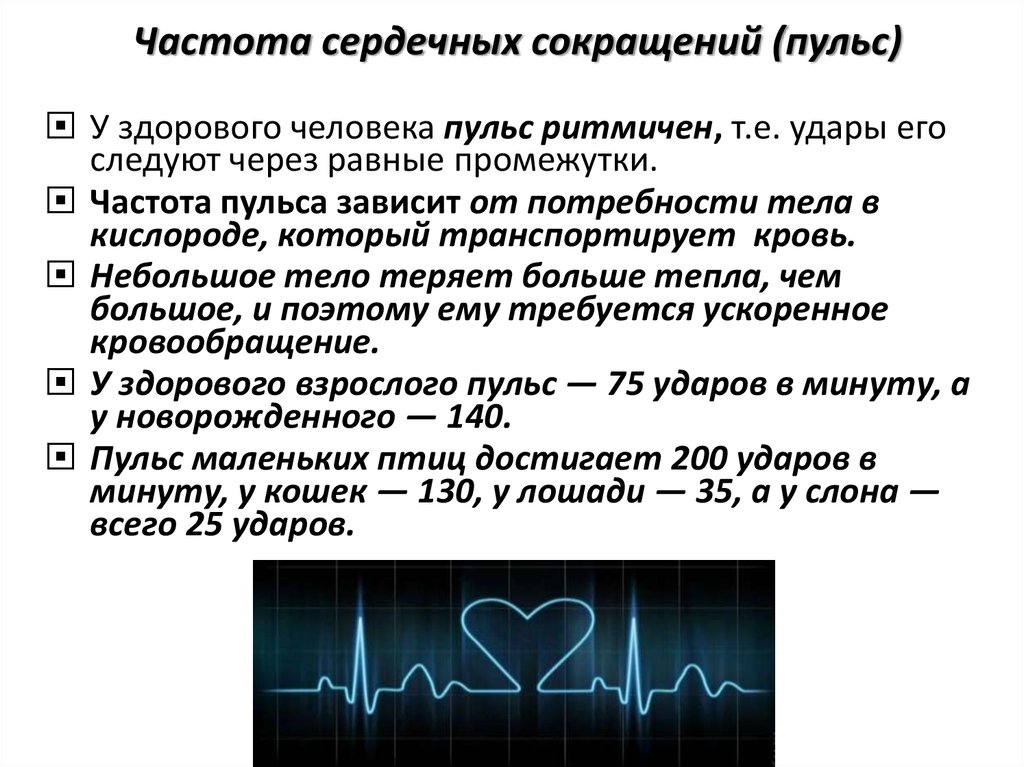 Частота пульса здорового человека в покое