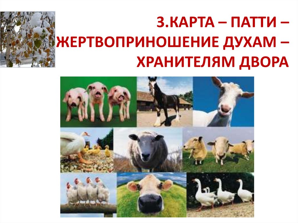 3.КАРТА – ПАТТИ – ЖЕРТВОПРИНОШЕНИЕ ДУХАМ – ХРАНИТЕЛЯМ ДВОРА