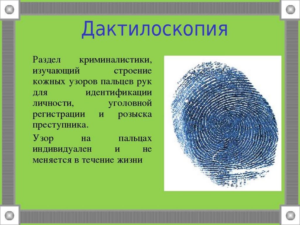 Что такое дактилоскопия. Дактилоскопия криминалистика. Дактилоскопия презентация. Дактилоскопия пальцев рук. Дактилоскопия это наука.