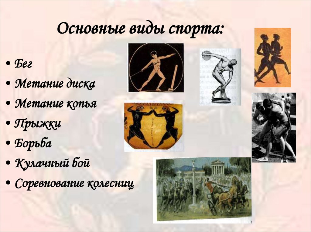 Основные виды спорта: