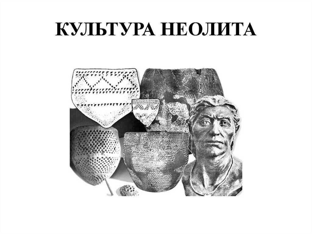 КУЛЬТУРА НЕОЛИТА