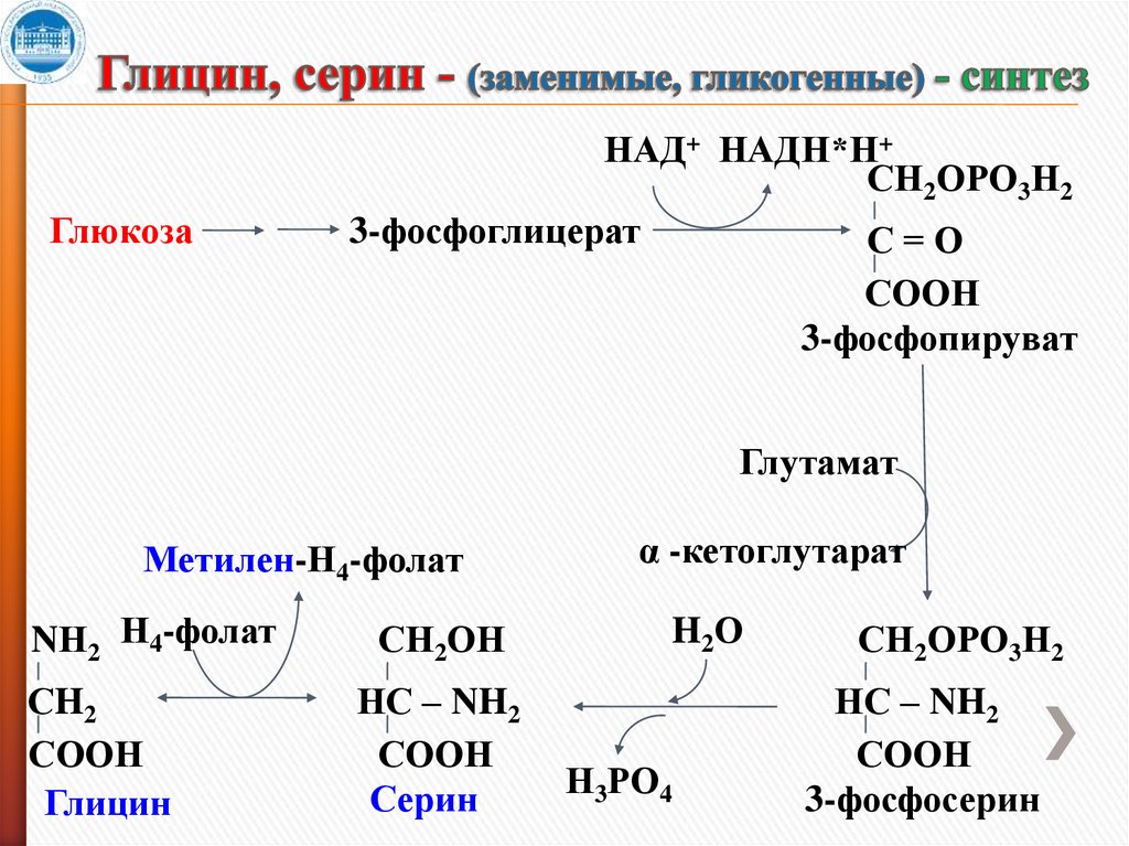 Особенности обмена глицина. Взаимопревращение Серина и глицина. Обмен глицина и Серина реакции. Синтез глицина из Серина. Схема обмена глицина.