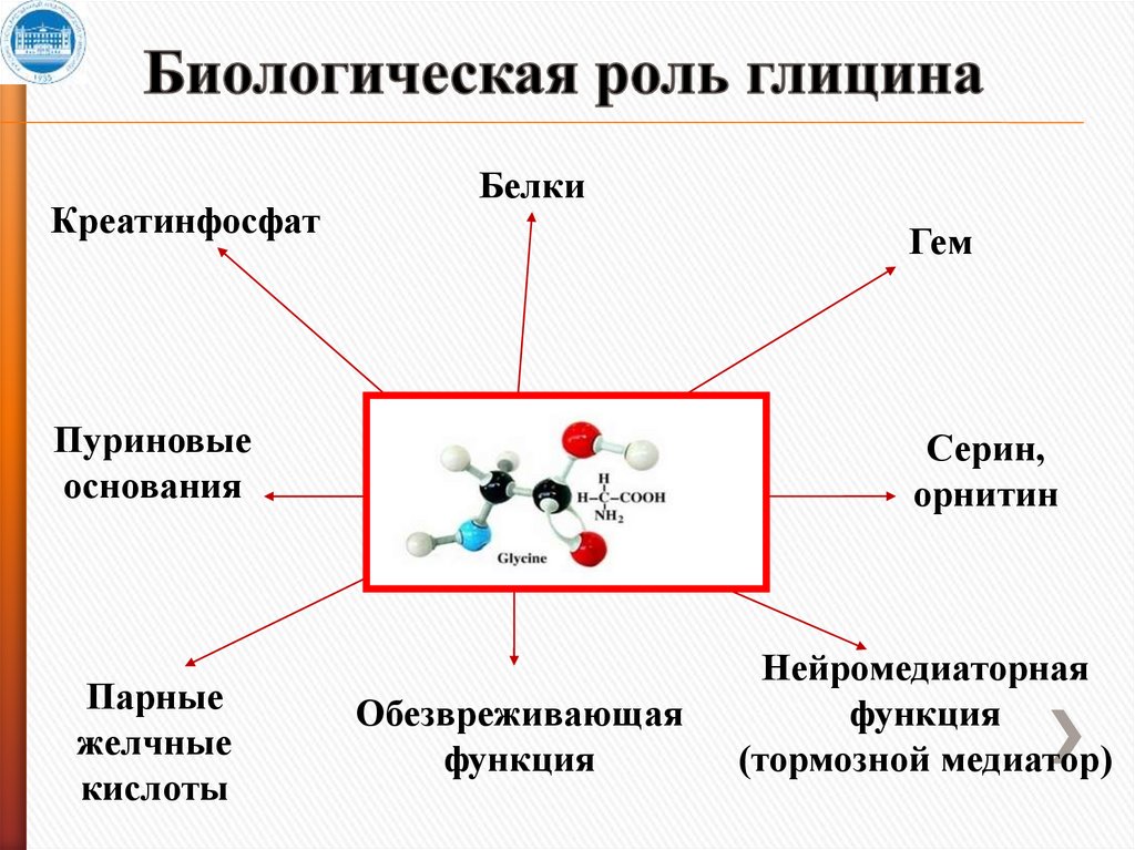 Биологическая роль переходных металлов презентация