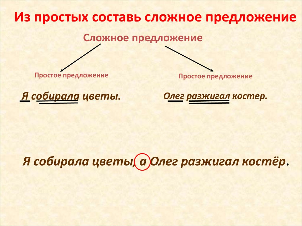 10 сложных предложений