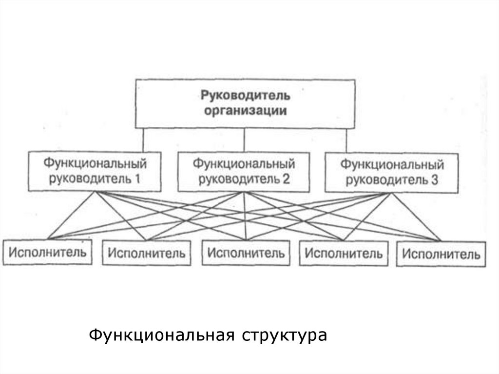 Проектирование организационной системы управления. Функциональная структура управления схема. Типы организационных структур управления. Виды орг структур организации. Основные организационные структуры управления.