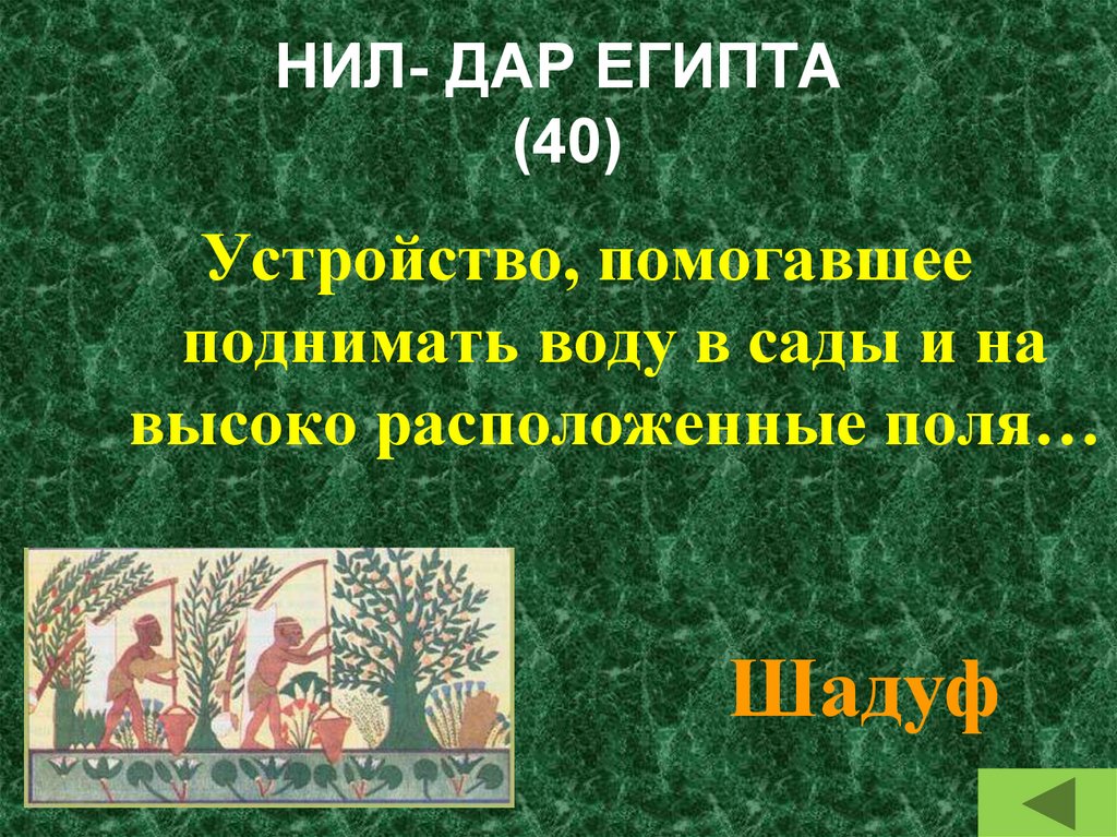 НИЛ- ДАР ЕГИПТА (40)