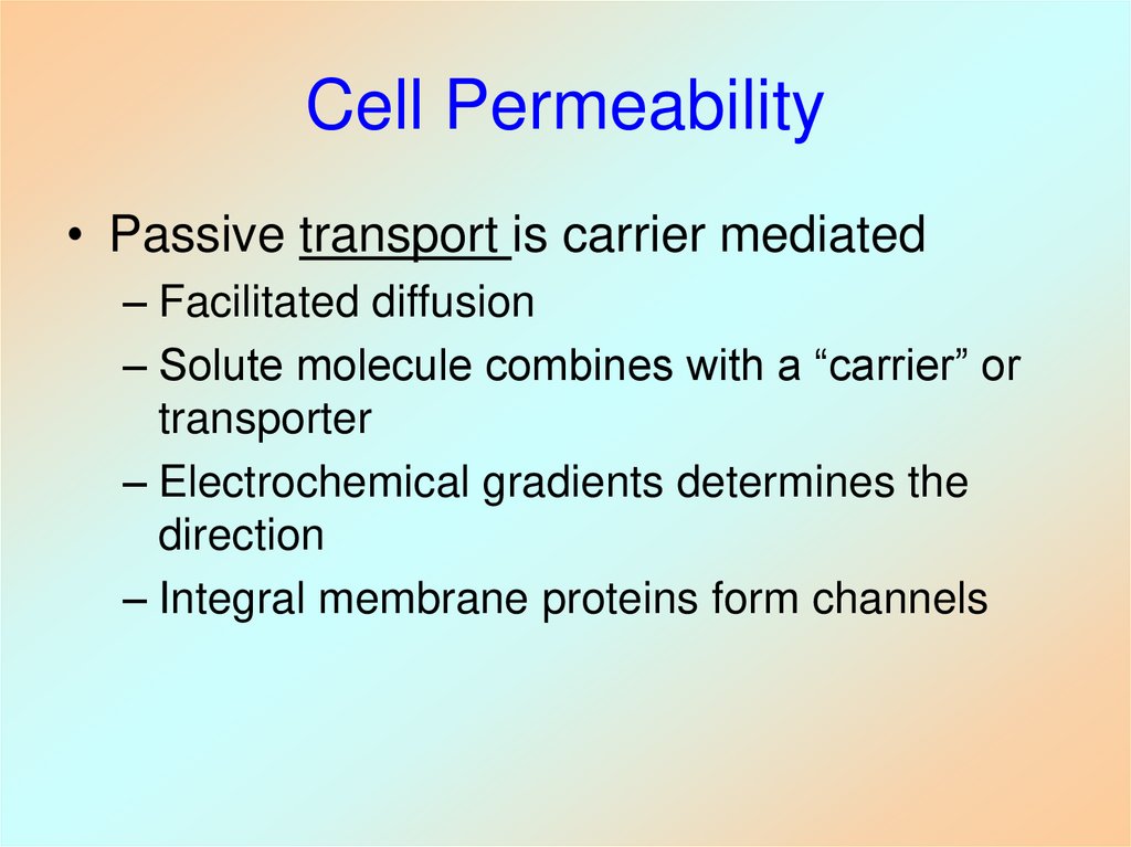 Cell Permeability