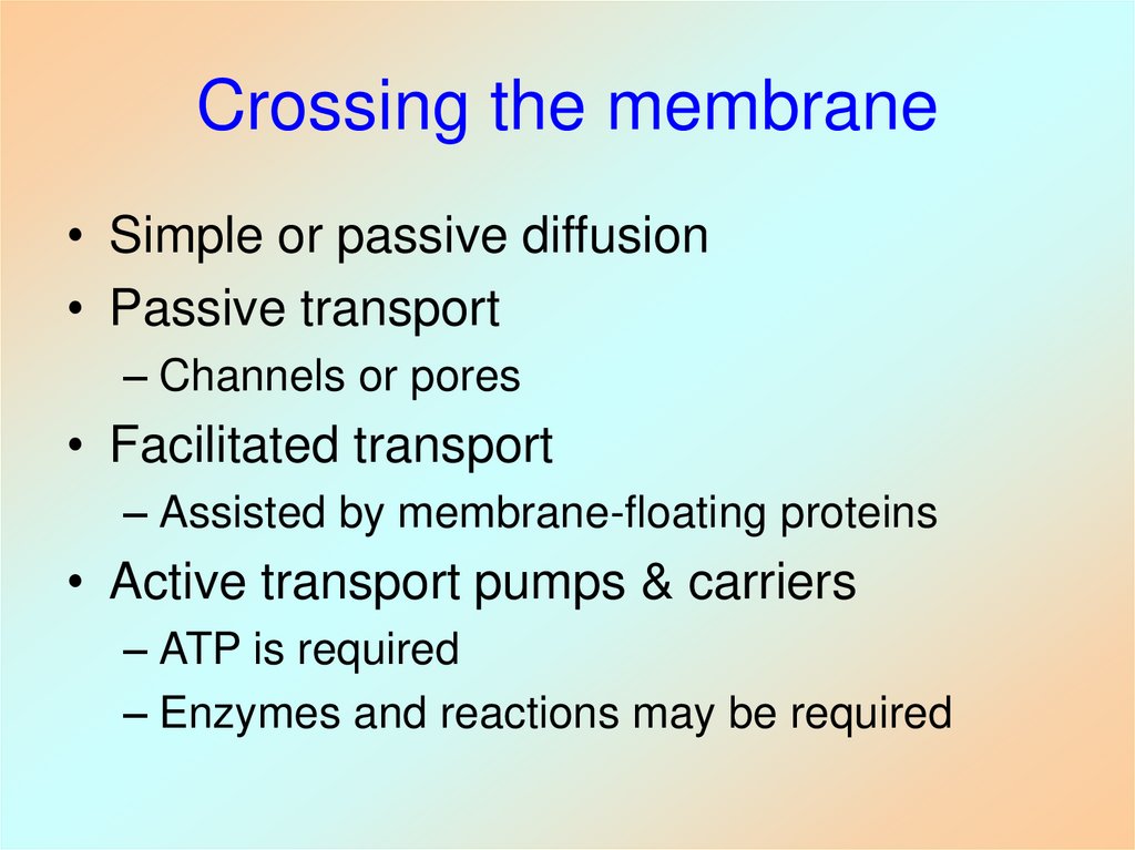 Crossing the membrane