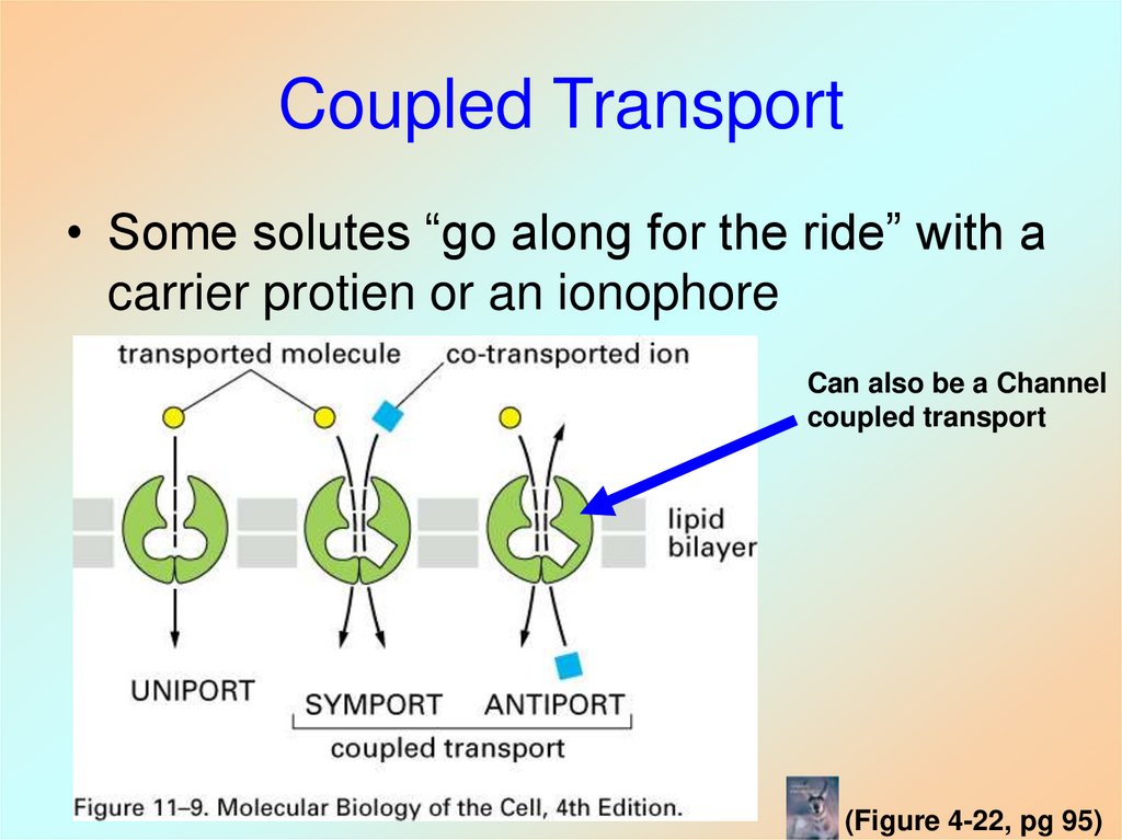 Coupled Transport