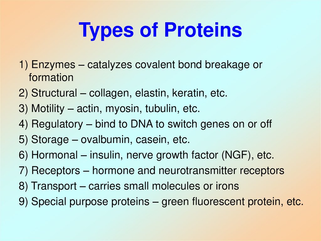 Types of Proteins