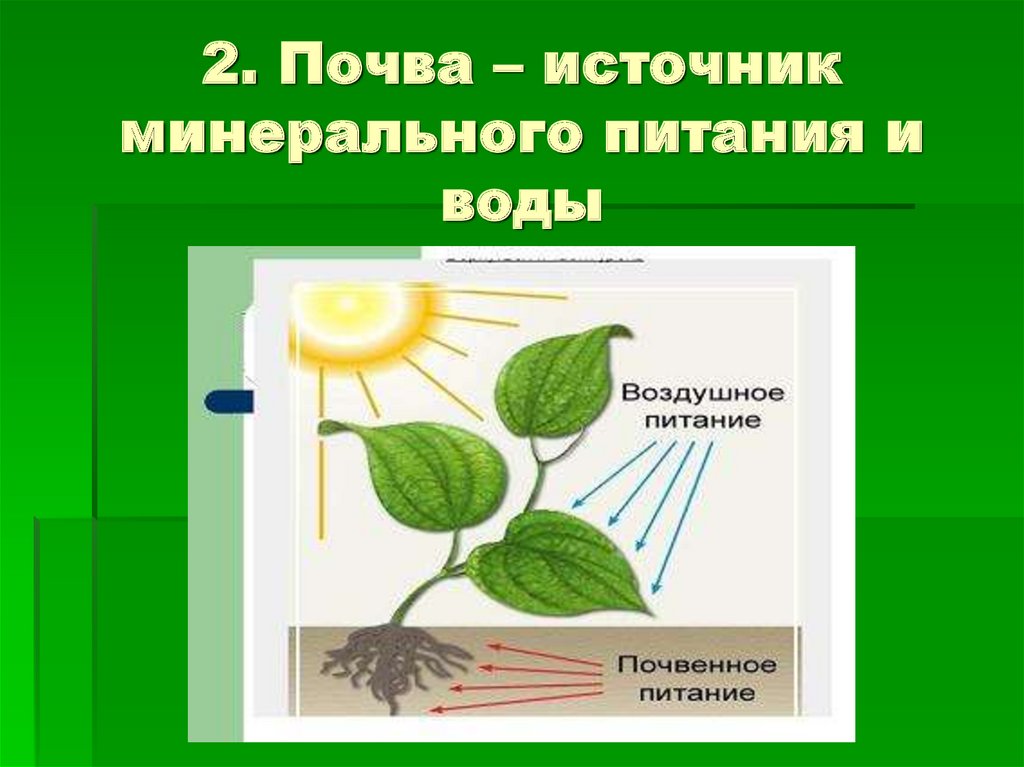 Конспект по воде биология 6 класс. Питание растений. Минеральное питание растений. Презентация питание растений. Схема питания растений.
