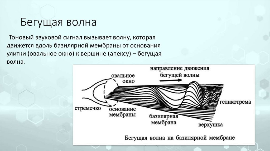 Бежали волны за кормою