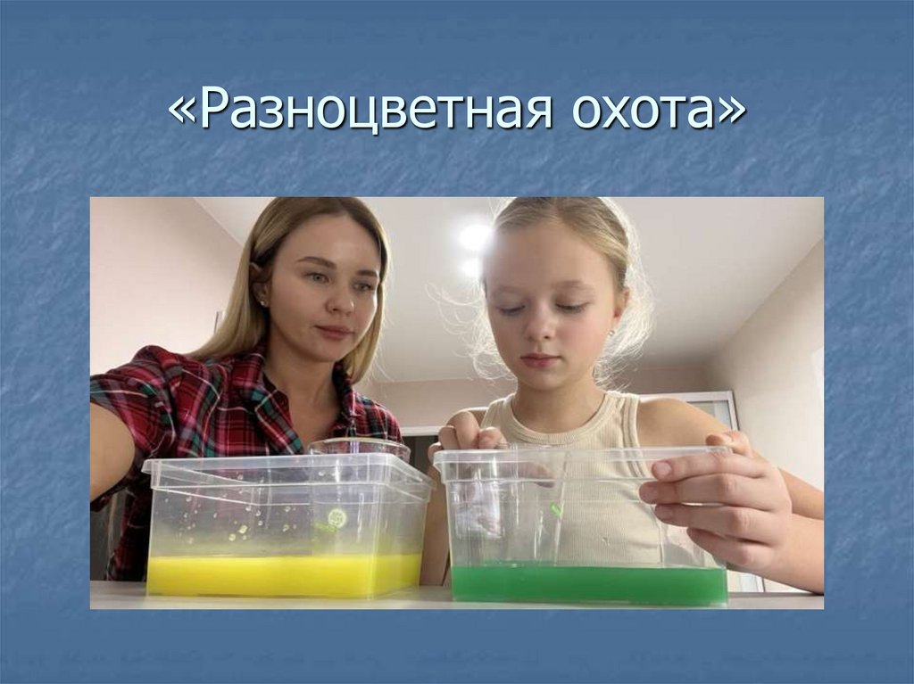 «Разноцветная охота»