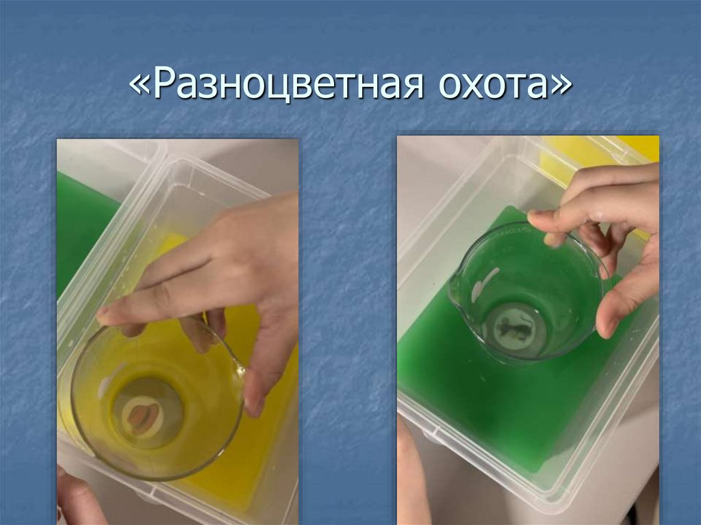 «Разноцветная охота»