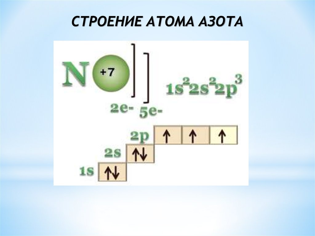 Изобразите схему атома и азота. Строение атома азота. Строение азота. Электронное строение азота. Схема строения атома азота.