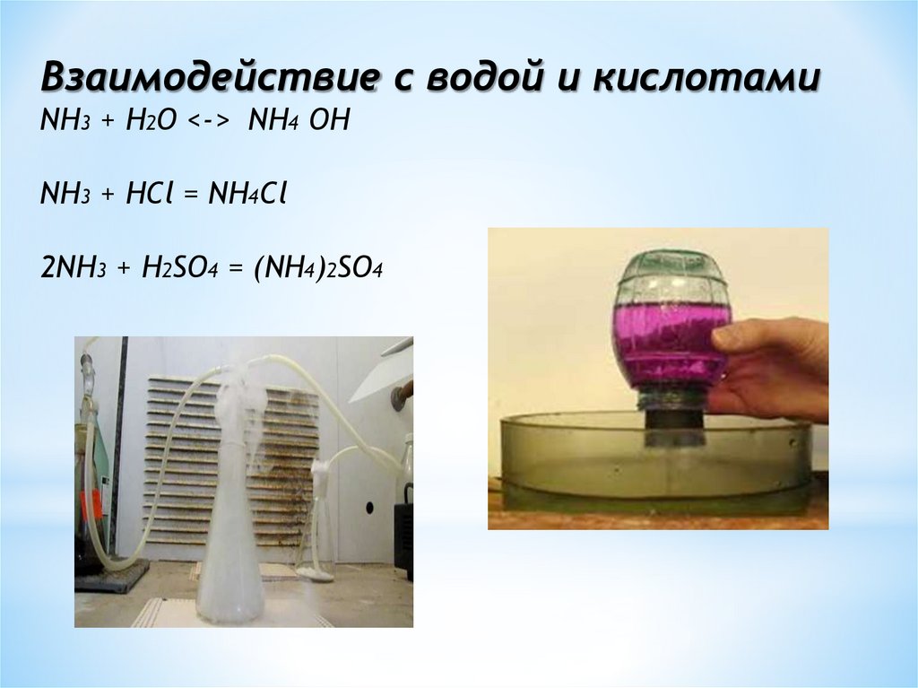 Nh4cl nh3 hcl реакция. Взаимодействие nh3 с водой. Взаимодействие аммиака с водой. H2so4 аммиак. Взаимодействие аммиака с водой и кислотами.